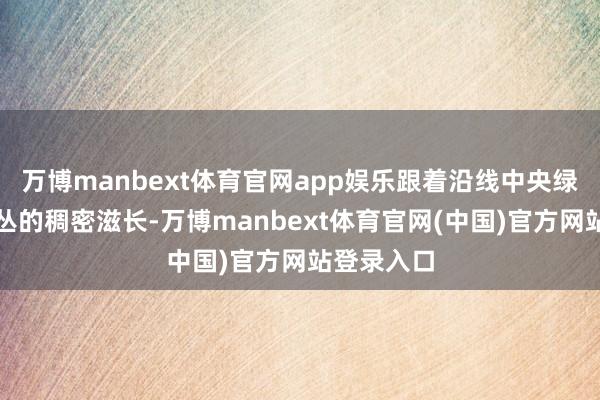 万博manbext体育官网app娱乐跟着沿线中央绿化带灌木丛的稠密滋长-万博manbext体育官网(中国)官方网站登录入口