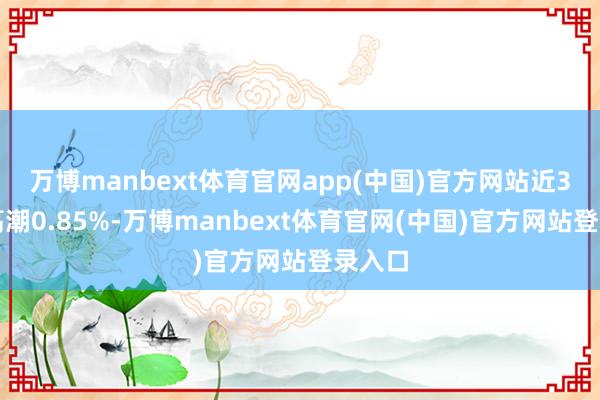 万博manbext体育官网app(中国)官方网站近3个月高潮0.85%-万博manbext体育官网(中国)官方网站登录入口