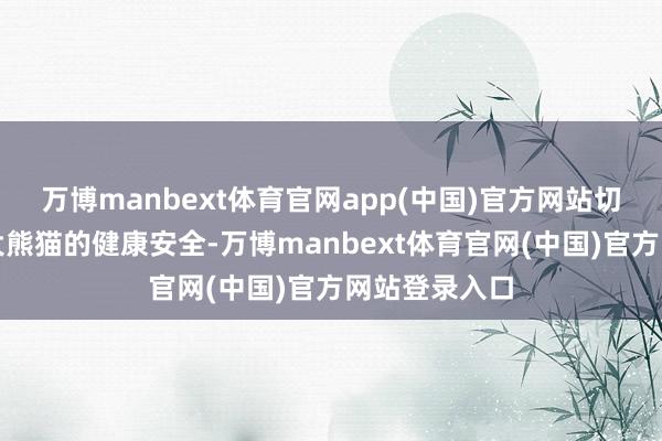 万博manbext体育官网app(中国)官方网站切实保险在德大熊猫的健康安全-万博manbext体育官网(中国)官方网站登录入口