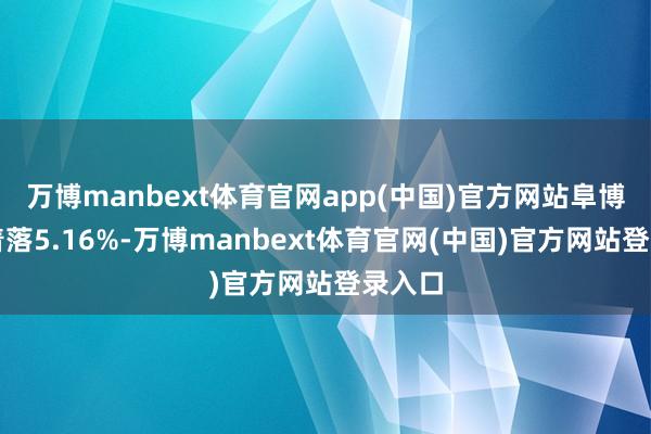 万博manbext体育官网app(中国)官方网站阜博集团着落5.16%-万博manbext体育官网(中国)官方网站登录入口
