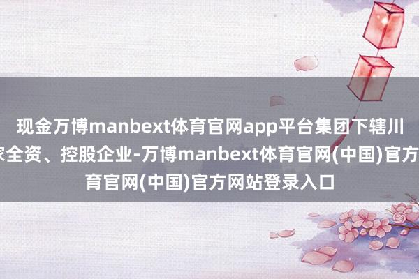 现金万博manbext体育官网app平台集团下辖川投能源等25家全资、控股企业-万博manbext体育官网(中国)官方网站登录入口