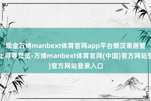 现金万博manbext体育官网app平台懒汉寄居蟹在沙滩上寻寻觅觅-万博manbext体育官网(中国)官方网站登录入口