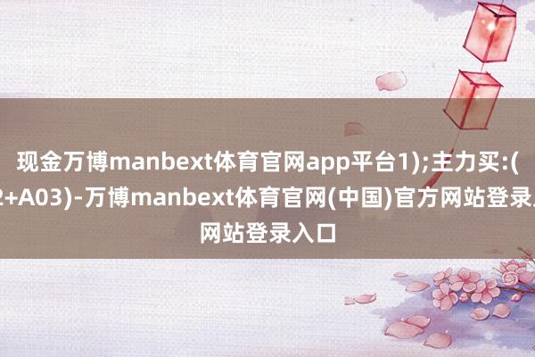 现金万博manbext体育官网app平台1);主力买:(A02+A03)-万博manbext体育官网(中国)官方网站登录入口