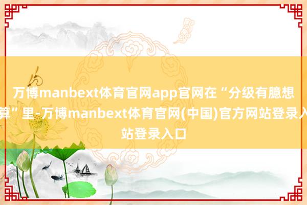 万博manbext体育官网app官网在“分级有臆想打算”里-万博manbext体育官网(中国)官方网站登录入口