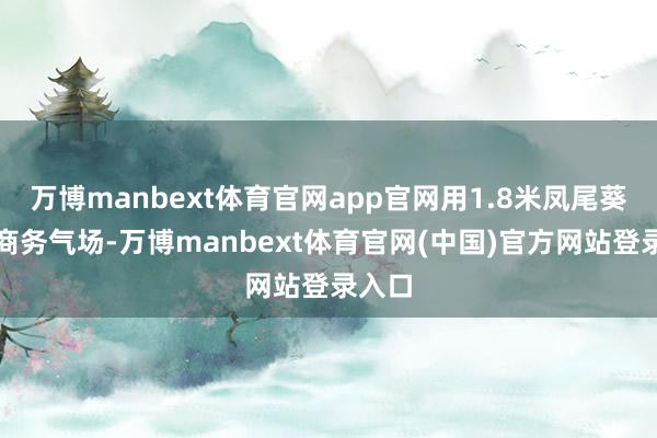 万博manbext体育官网app官网用1.8米凤尾葵强化商务气场-万博manbext体育官网(中国)官方网站登录入口