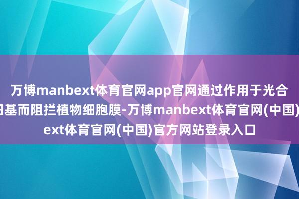 万博manbext体育官网app官网通过作用于光合系统I产生超氧目田基而阻拦植物细胞膜-万博manbext体育官网(中国)官方网站登录入口