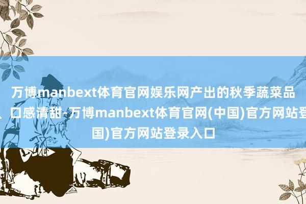 万博manbext体育官网娱乐网产出的秋季蔬菜品性上乘、口感清甜-万博manbext体育官网(中国)官方网站登录入口