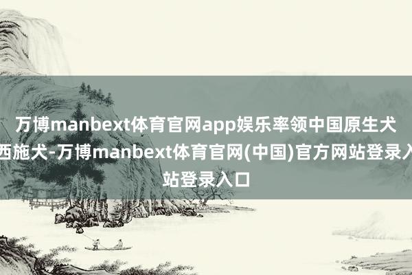 万博manbext体育官网app娱乐率领中国原生犬种西施犬-万博manbext体育官网(中国)官方网站登录入口